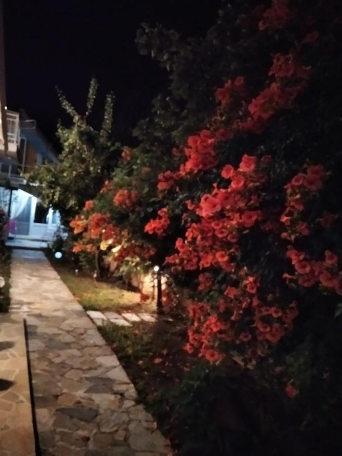 Villa Alekos Лименас Екстериор снимка